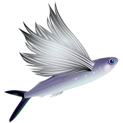 Раскраски Летучая рыба