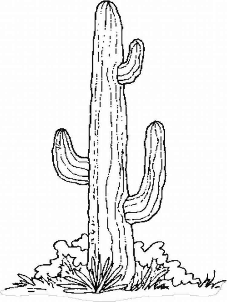 raskraski-kaktus-1