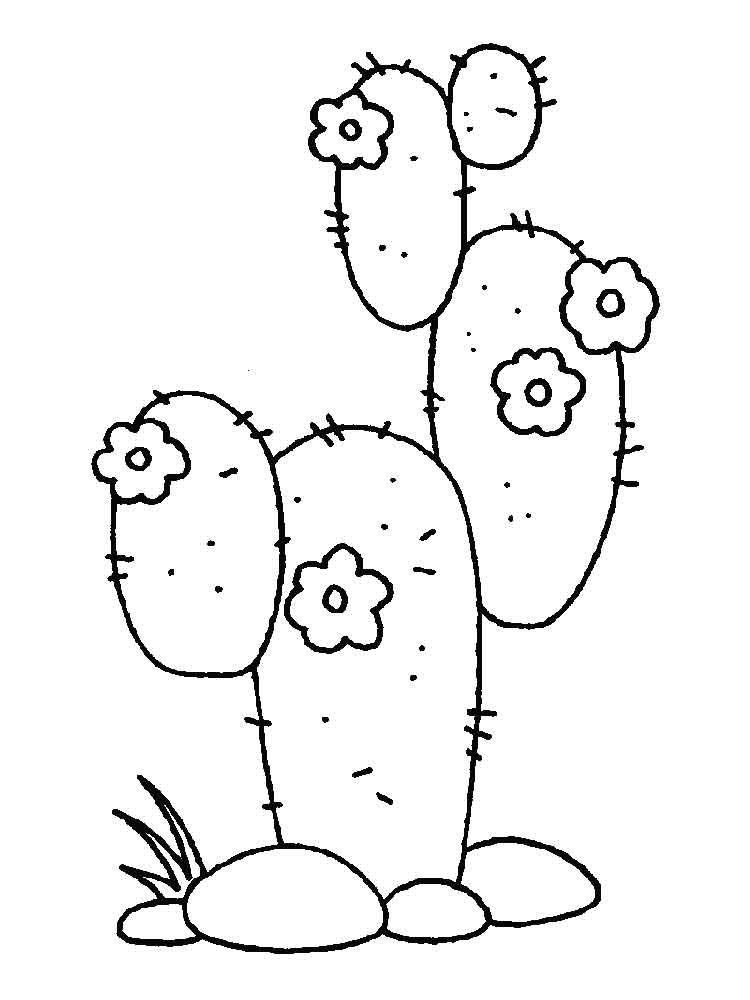 raskraski-kaktus-14