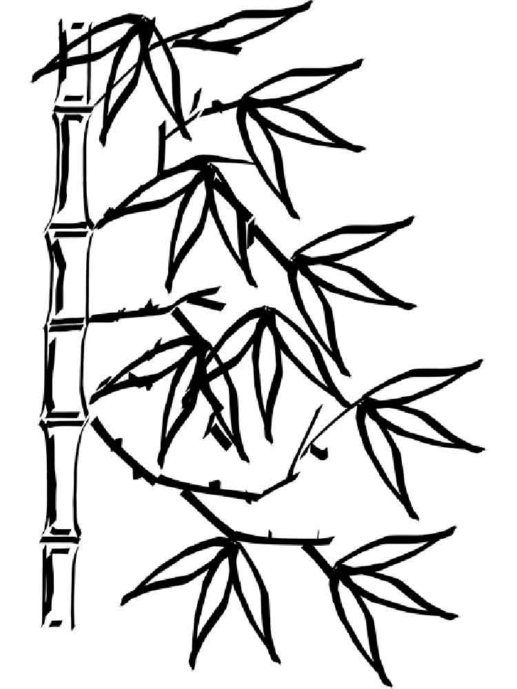 raskraski-bambuk-11