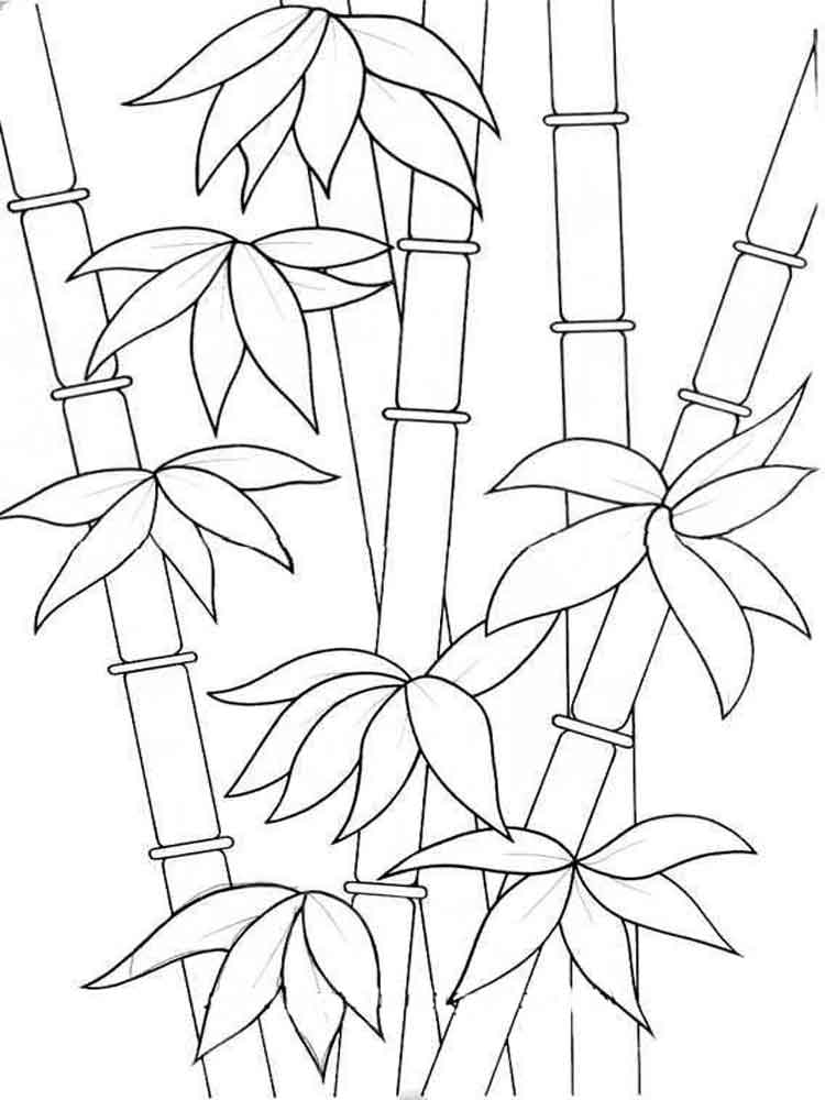 raskraski-bambuk-2