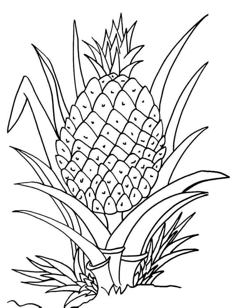 raskraska-ananas-4
