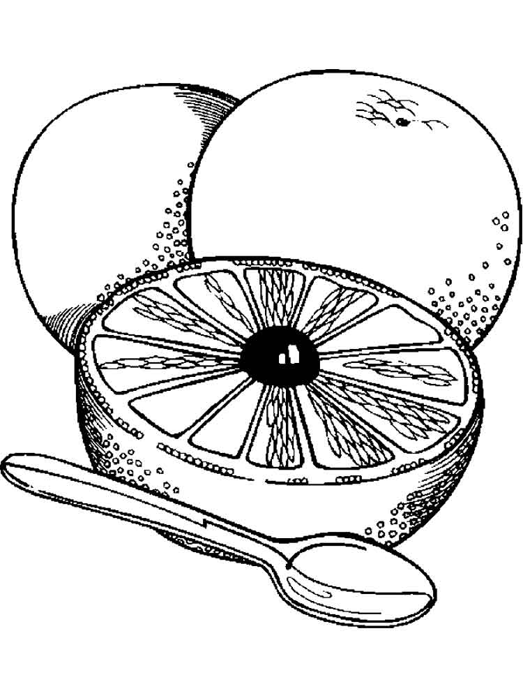 raskraska-grapefrut-6