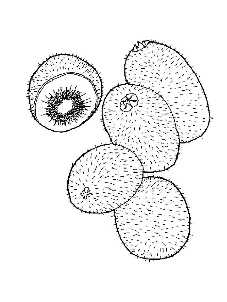 raskraska-frukt-kiwi-11