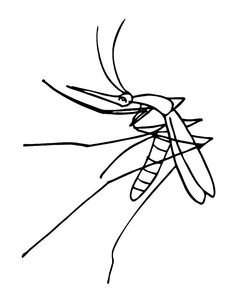 raskraski-komar-13