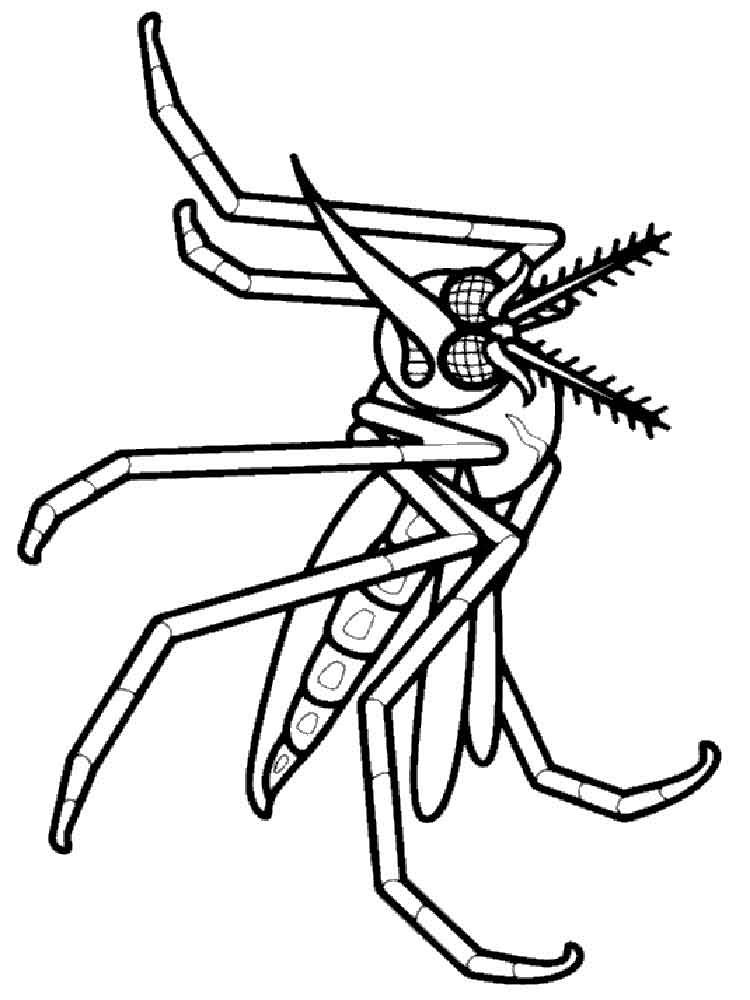 raskraski-komar-16
