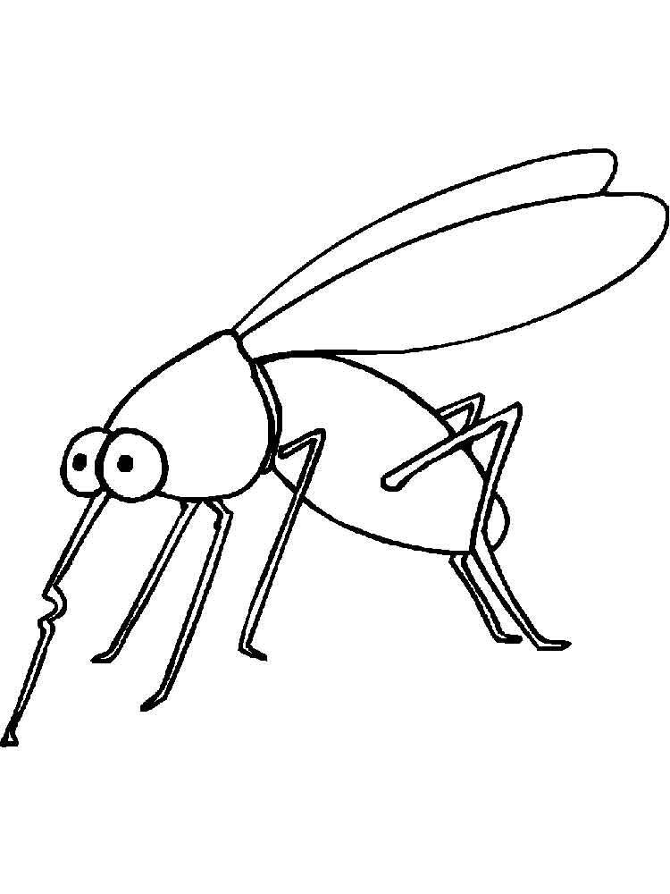 raskraski-komar-4