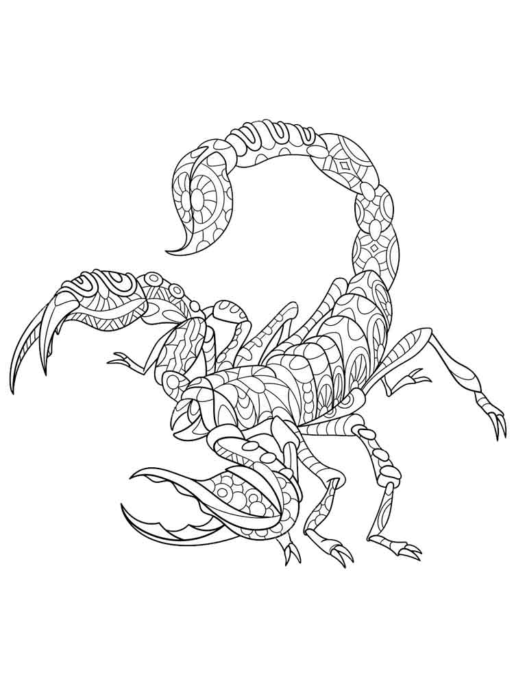 raskraski-skorpion-2
