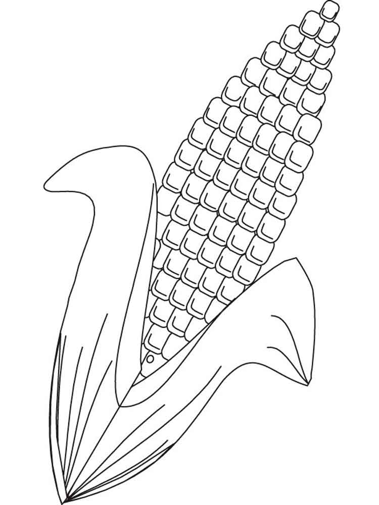 raskraska-kukuruza-2