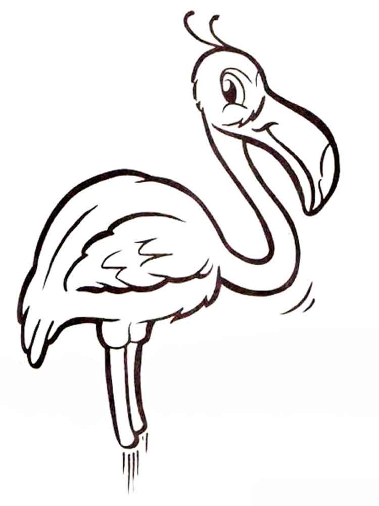 raskraski-flamingo-10