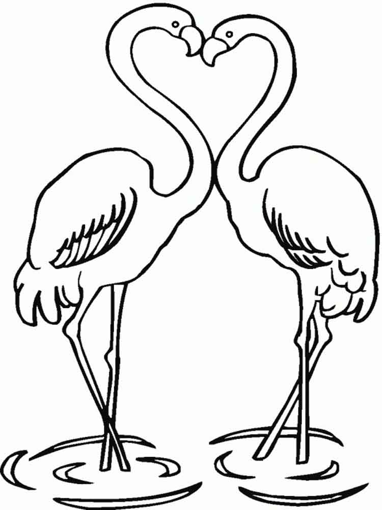 raskraski-flamingo-13