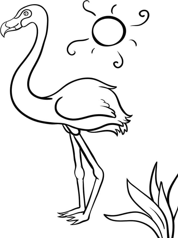 raskraski-flamingo-16