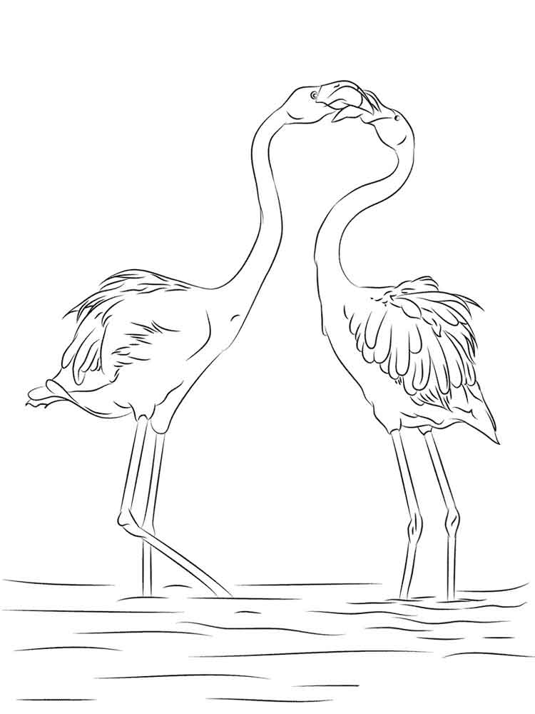 raskraski-flamingo-18