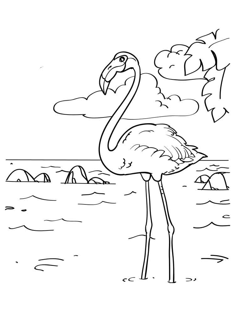 raskraski-flamingo-2