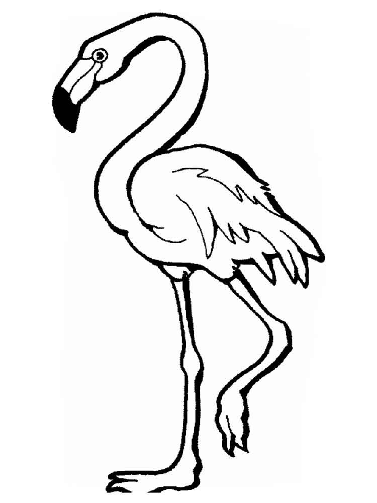raskraski-flamingo-21
