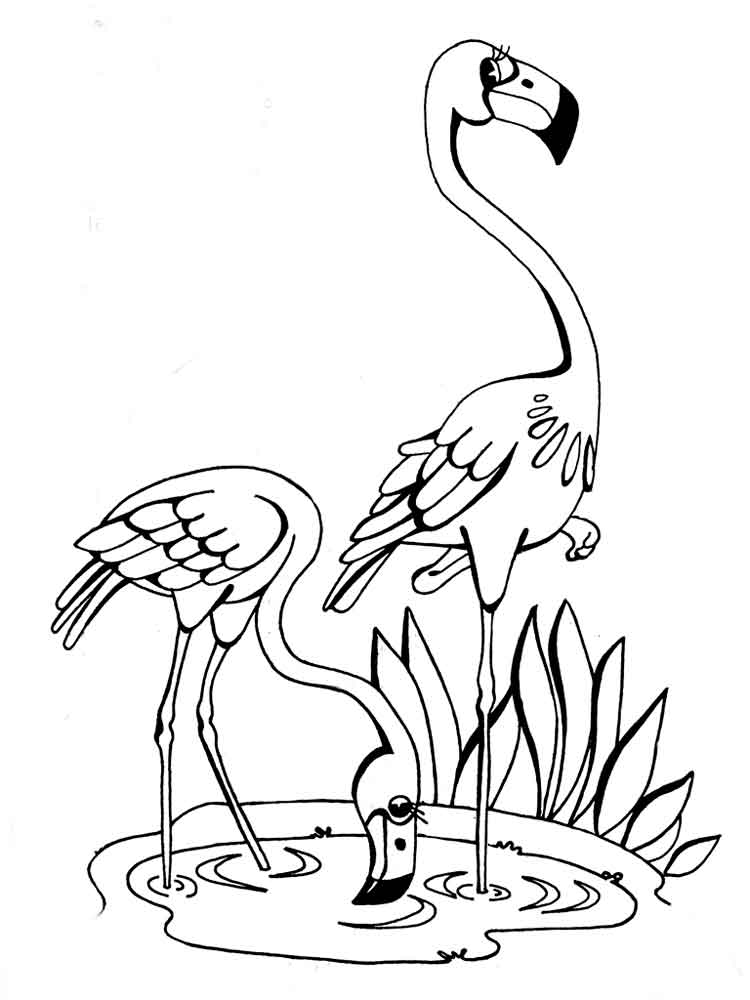 raskraski-flamingo-22