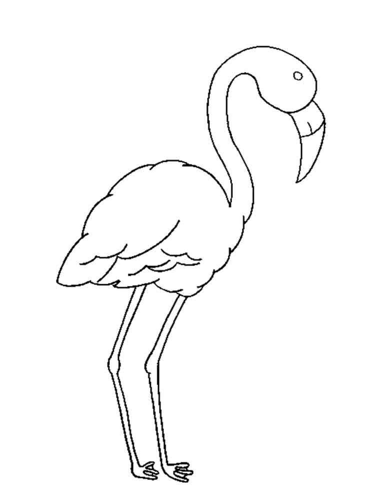 raskraski-flamingo-9