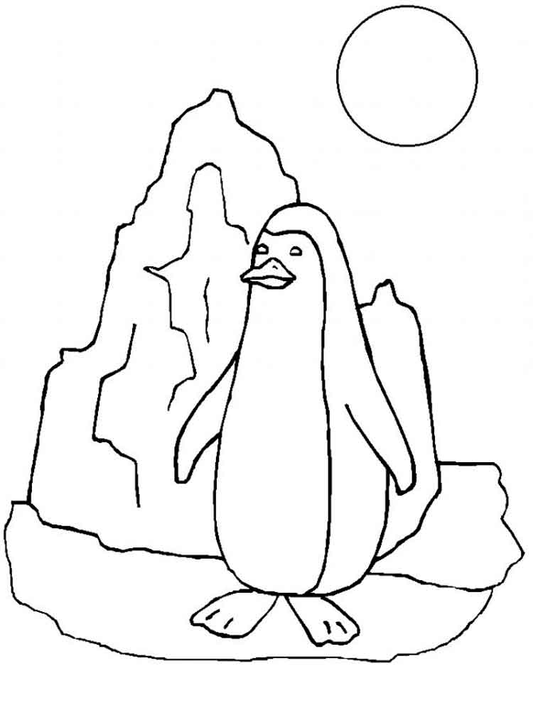 raskraski-pingvin-7