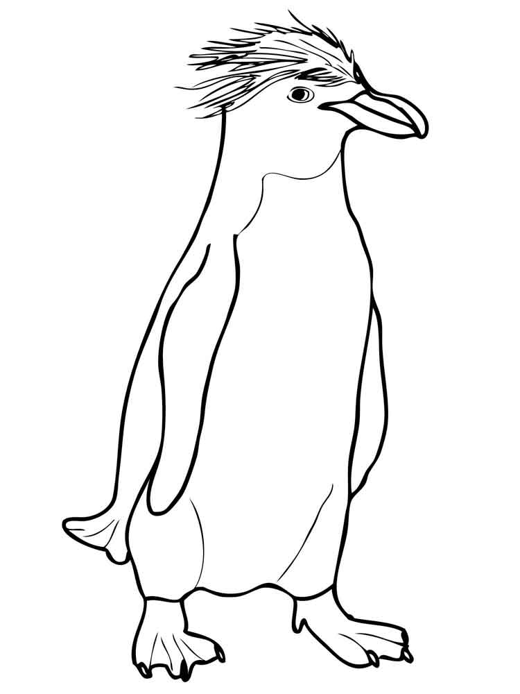 raskraski-pingvin-8