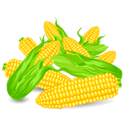 Раскраски Кукуруза