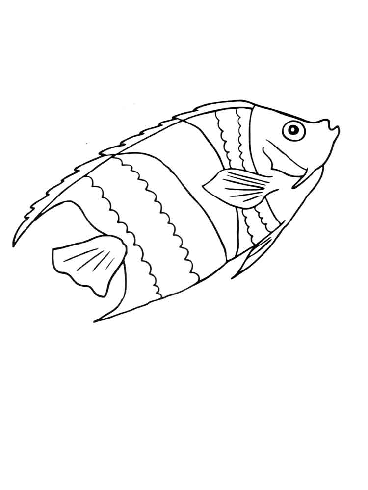 raskraski-akvariumnye-rybki-7
