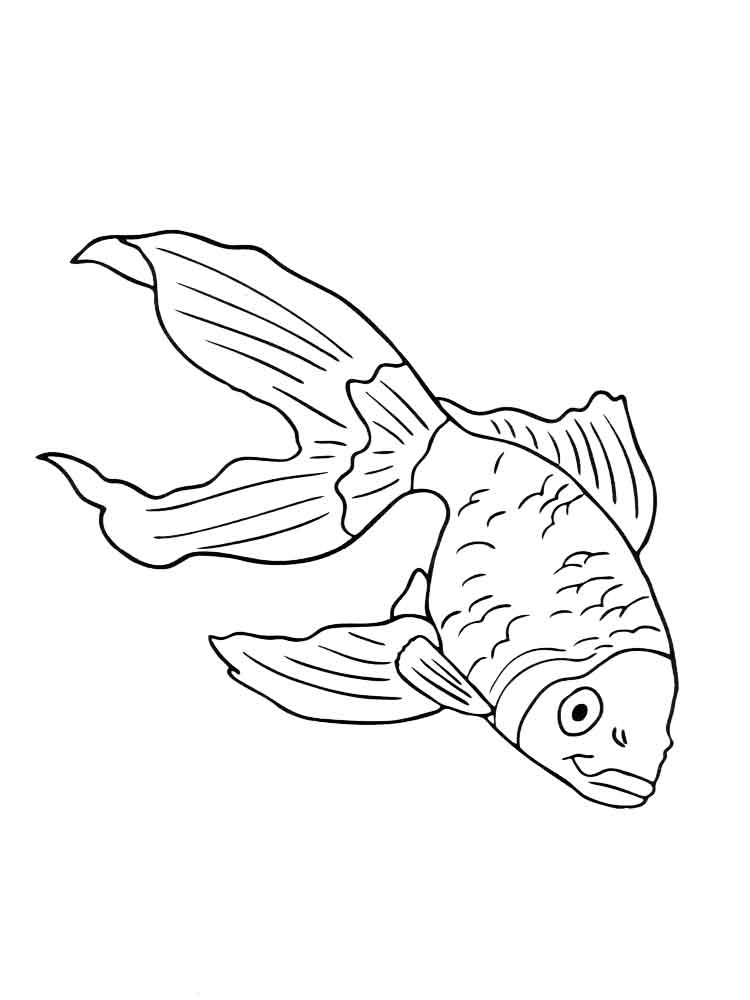 raskraski-akvariumnye-rybki-8