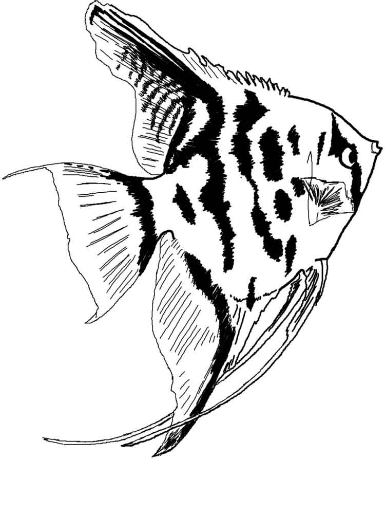 raskraski-akvariumnye-rybki-9