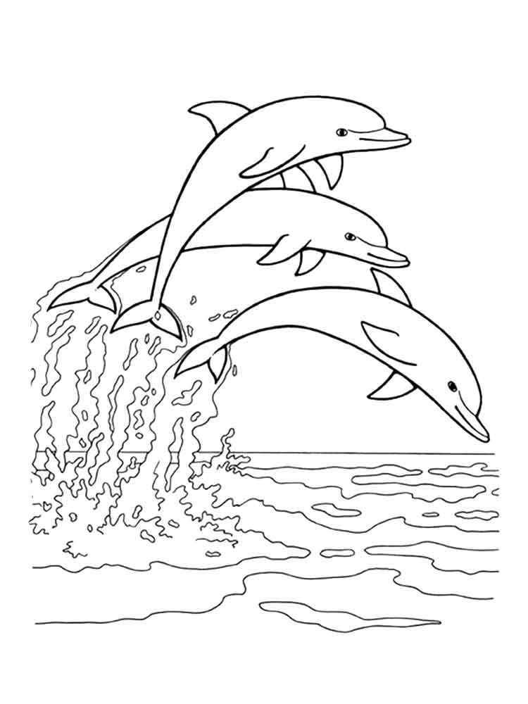 raskraski-delfin-17