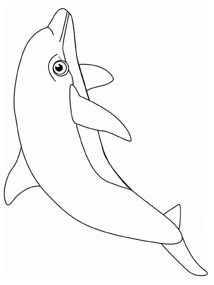 raskraski-delfin-21