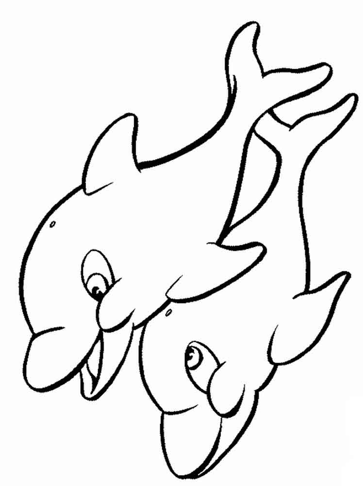 raskraski-delfin-3