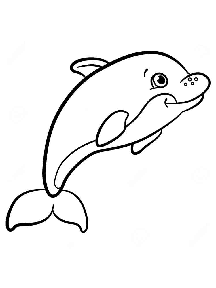 raskraski-delfin-4