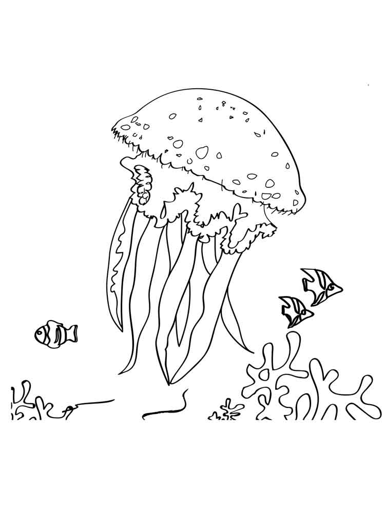 raskraski-meduza-10
