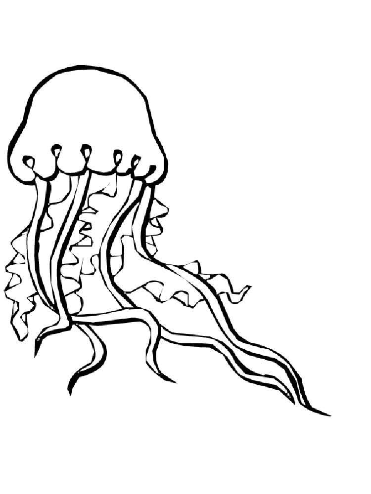 raskraski-meduza-11
