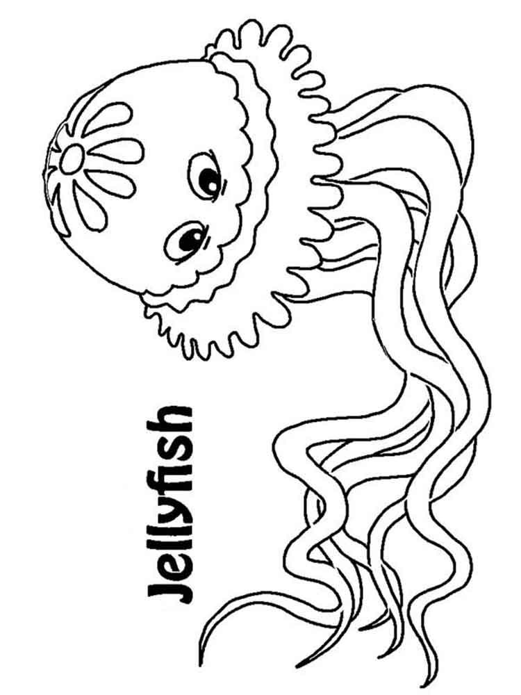 raskraski-meduza-15