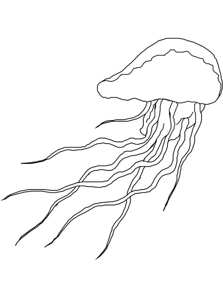 raskraski-meduza-17