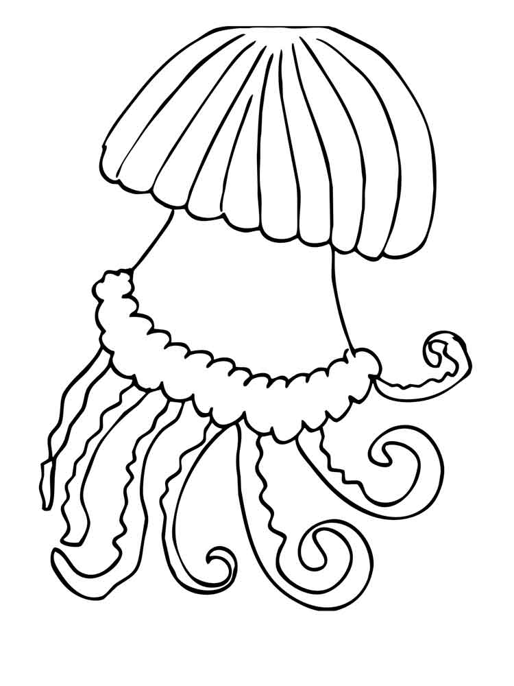 raskraski-meduza-2