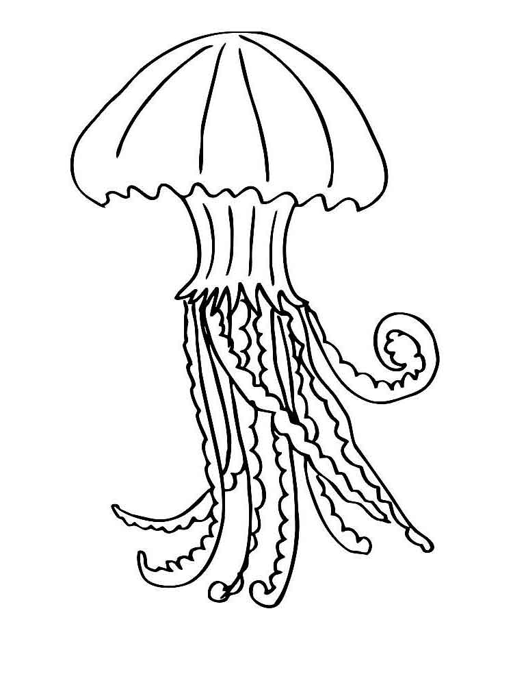 raskraski-meduza-4