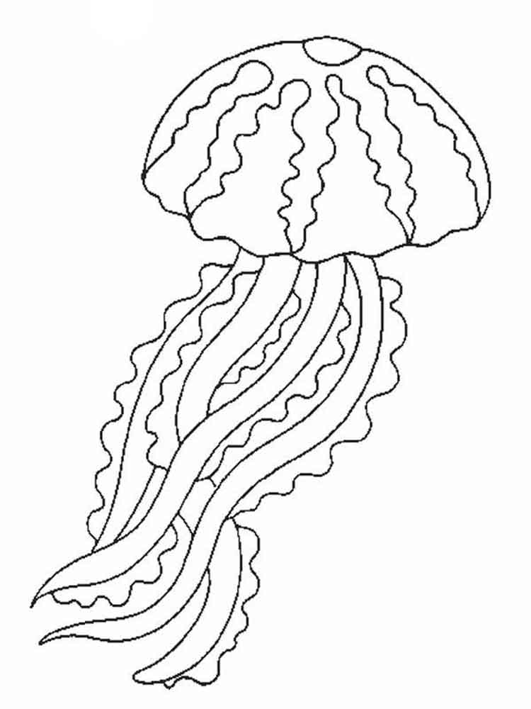 raskraski-meduza-5