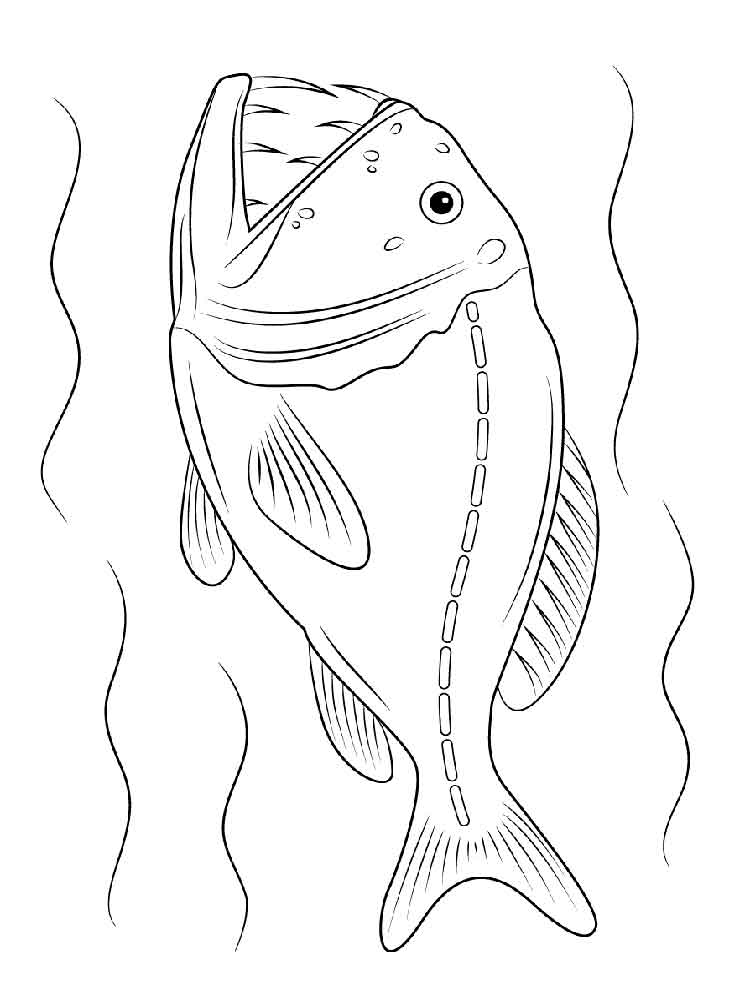 raskraski-morskie-ryby-6