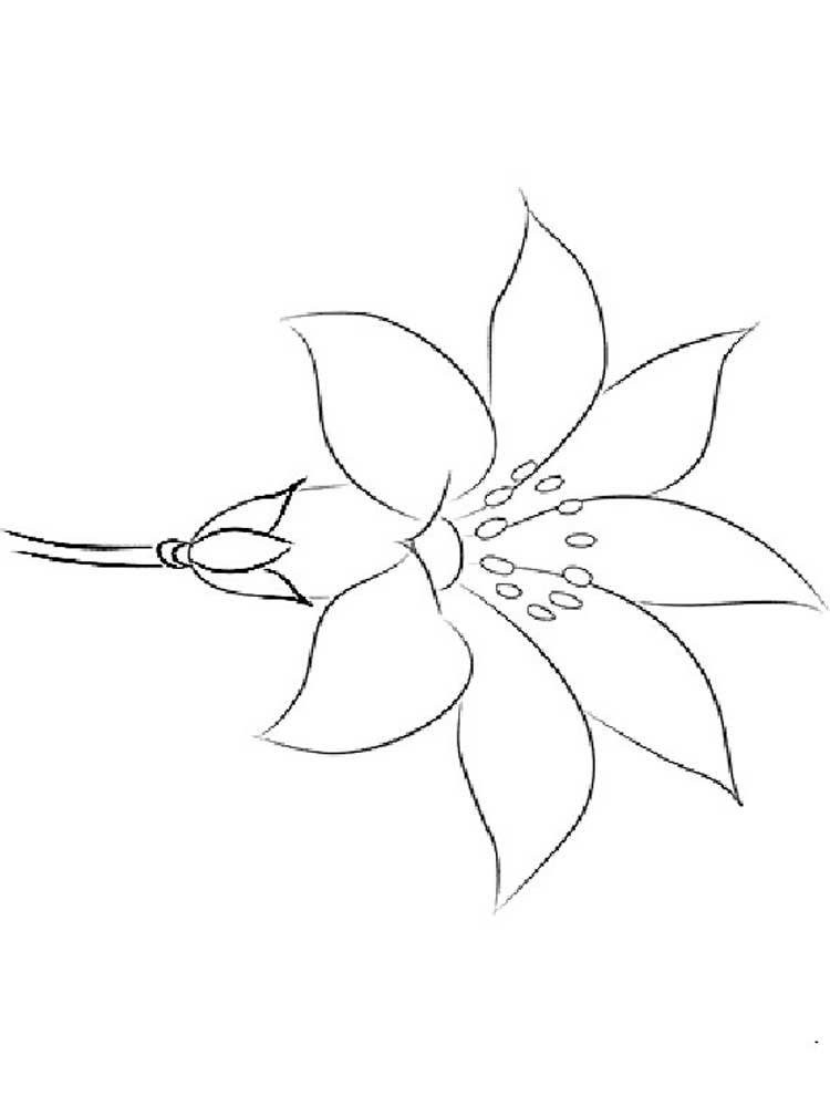 raskraski-cvetik-semicvetik-10
