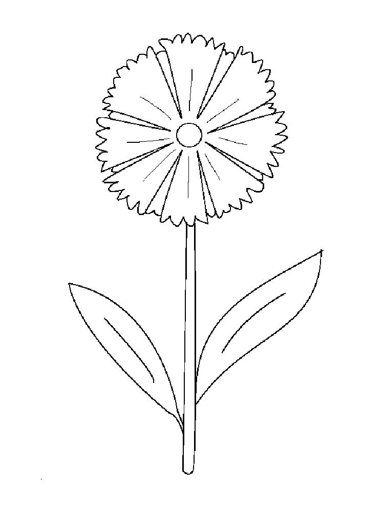 raskraski-cvetik-semicvetik-2