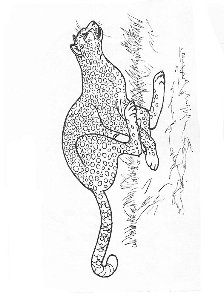 raskraski-gepard-8