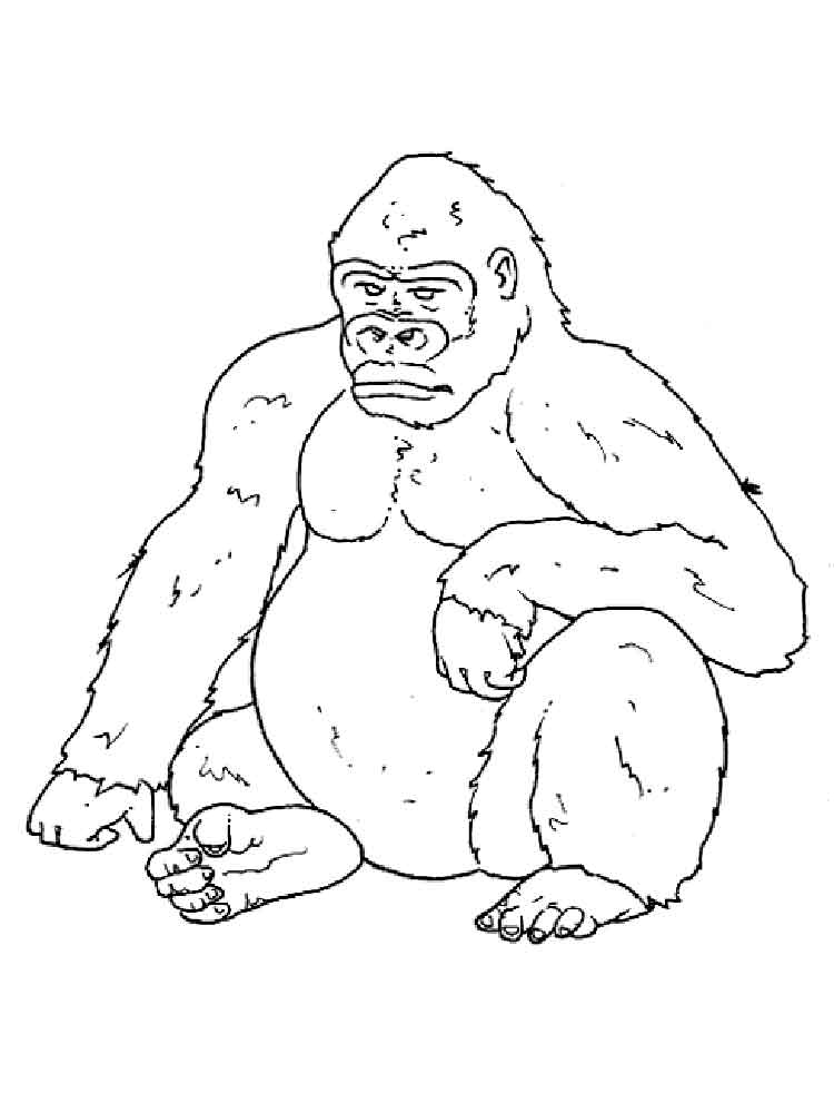 raskraski-gorilla-5