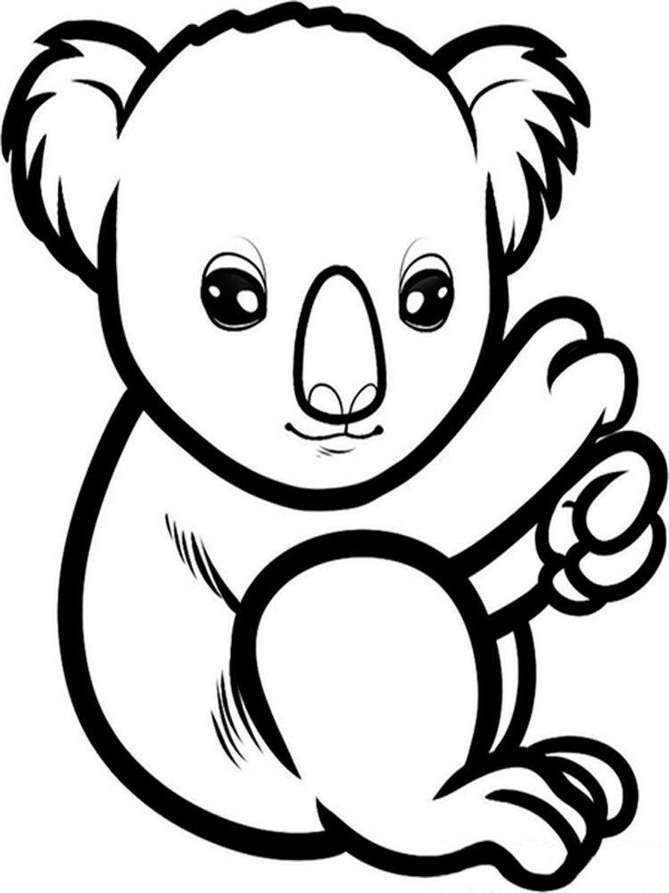 raskraski-koala-13