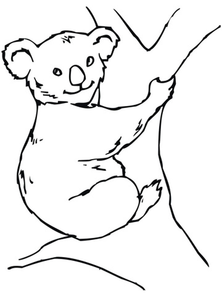 raskraski-koala-6