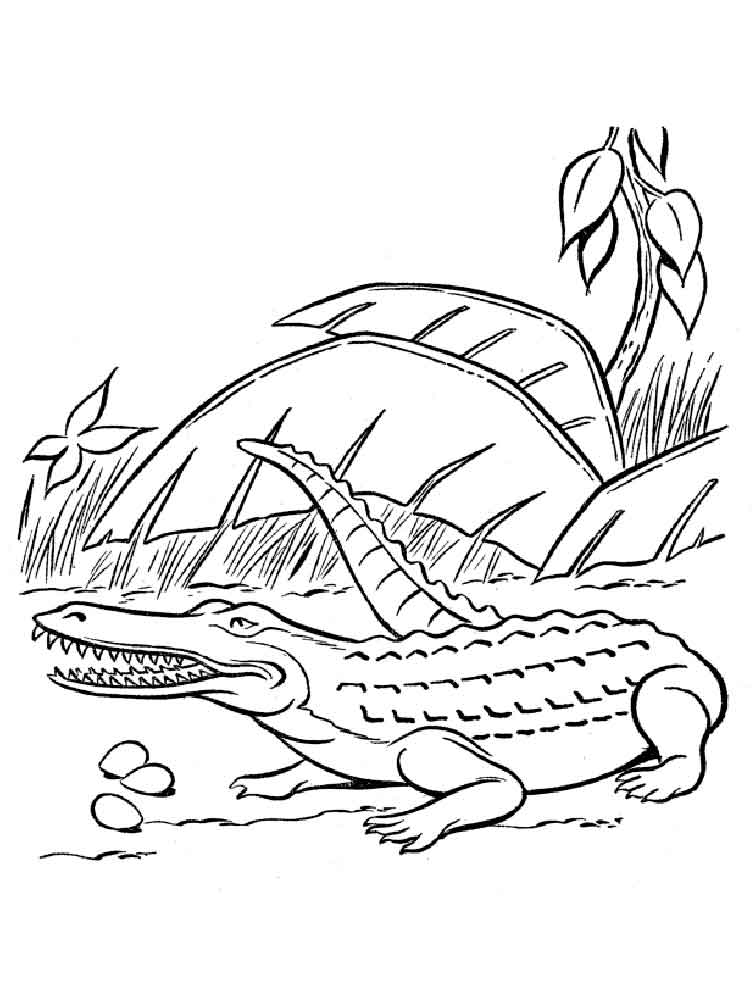 raskraski-krokodil-11