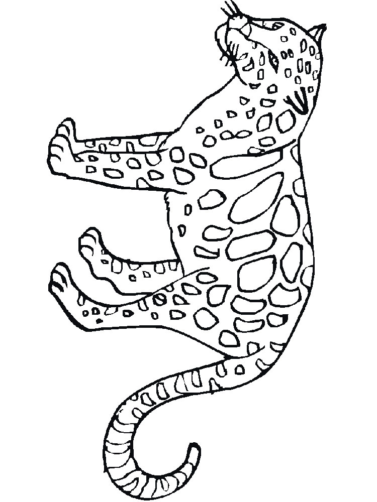 raskraski-leopard-11