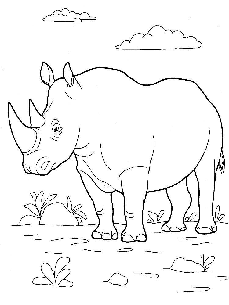 raskraski-nosorog-3