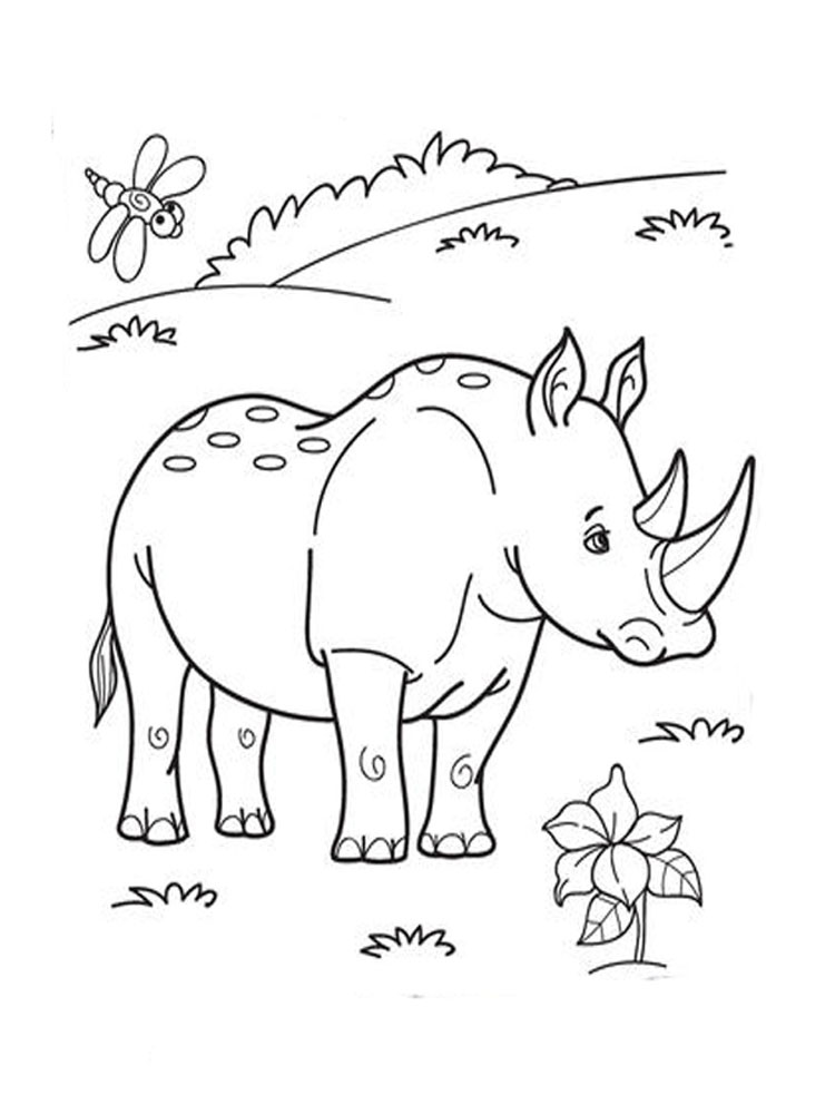 raskraski-nosorog-4