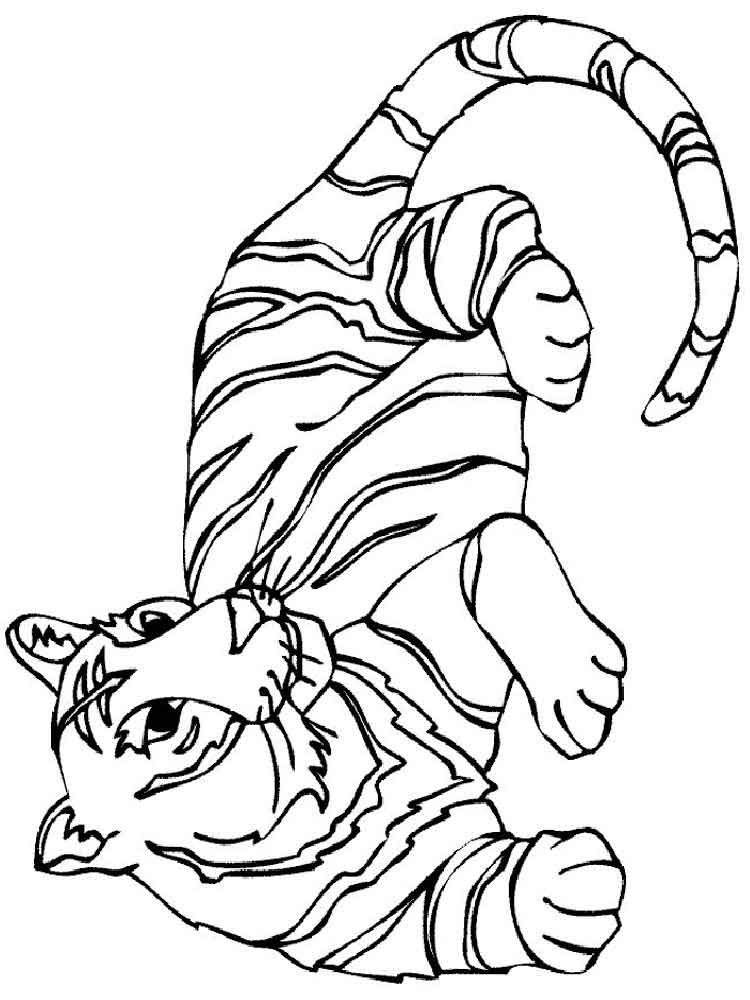 raskraski-tigr-1